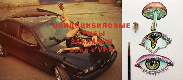 гидра Нязепетровск
